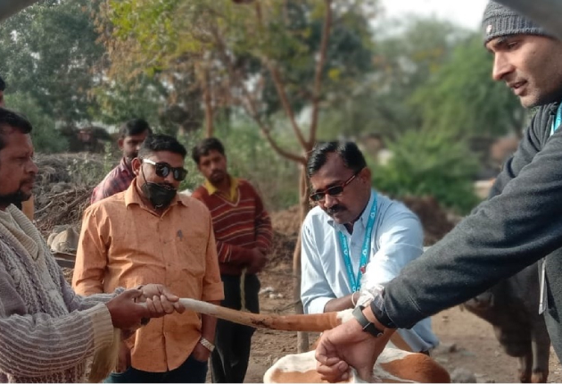 Ration Balancing Programme